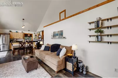 104 Mt Elbert Drive, Florissant, CO 80816 - Photo 11