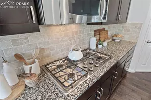 5859 Leon Young Dr, Colorado Springs, CO 80924 - Photo 23
