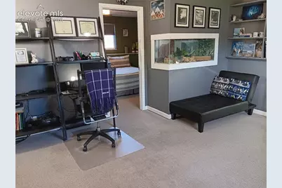 2425 Telemark Court, Colorado Springs, CO 80918 - Photo 27