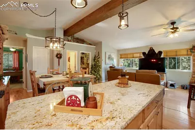 290 N Mountain Estates Road, Florissant, CO 80816 - Photo 13