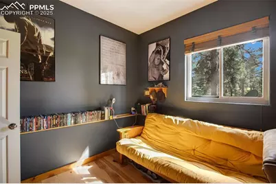 290 N Mountain Estates Road, Florissant, CO 80816 - Photo 23