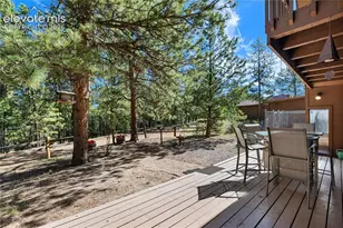 303 Ute Trail, Woodland Park, CO 80863 - Photo 9