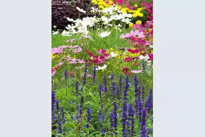 2925 S Vaughn Way, Aurora, CO 80014 - Photo 37