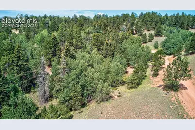 158 Rattler Court, Cripple Creek, CO 80813 - Photo 3