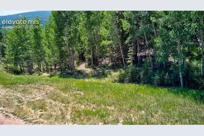 158 Rattler Court, Cripple Creek, CO 80813 - Photo 13