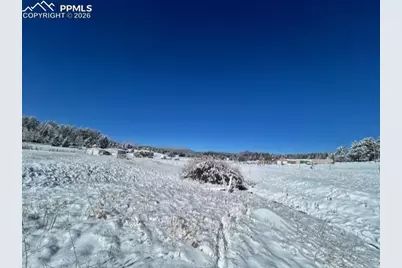 84 Wrangler Drive, Lake George, CO 80827 - Photo 3