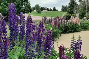 1009 Slate Way, Monument, CO 80132 - Photo 41