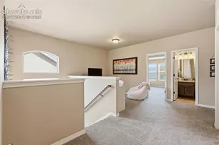 233 Coyote Willow Dr, Colorado Springs, CO 80921 - Photo 17