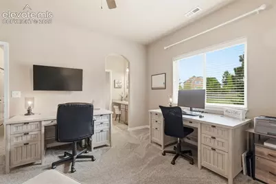 233 Coyote Willow Drive, Colorado Springs, CO 80921 - Photo 29