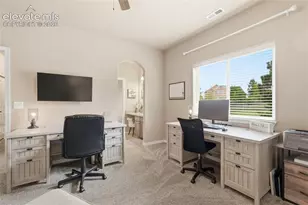 233 Coyote Willow Dr, Colorado Springs, CO 80921 - Photo 29