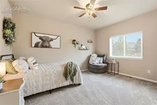 233 Coyote Willow Dr, Colorado Springs, CO 80921 - Photo 25