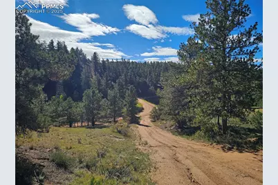 163 Valley View Drive, Florissant, CO 80816 - Photo 19