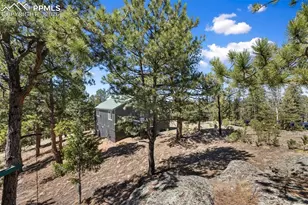 18 Mt Powderhorn Ln, Florissant, CO 80816 - Photo 7