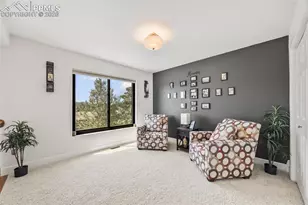 133 Matthew Rd, Divide, CO 80814 - Photo 31