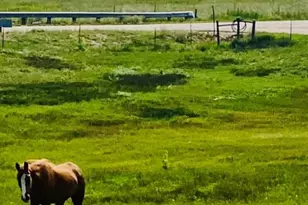 16835 E Goshawk Rd, Colorado Springs, CO 80908 - Photo 49