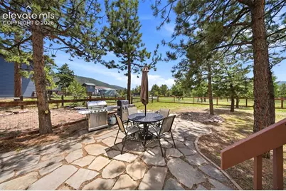 2221 Valley View Drive, Woodland Park, CO 80863 - Photo 39