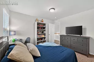 8253 Hardwood Cir, Colorado Springs, CO 80908 - Photo 27