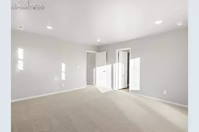 11419 Saugeye Street, Colorado Springs, CO 80925 - Photo 21