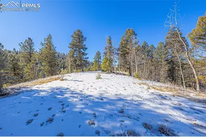772 E Bison Creek Trail, Florissant, CO 80816 - Photo 5