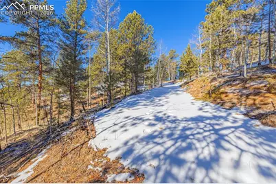 772 E Bison Creek Trail, Florissant, CO 80816 - Photo 3
