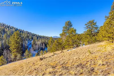 772 E Bison Creek Trail, Florissant, CO 80816 - Photo 7