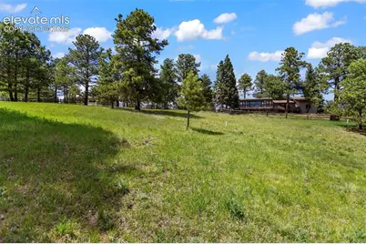 42 Bluebird Hill, Woodland Park, CO 80863 - Photo 7
