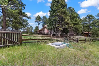 42 Bluebird Hill, Woodland Park, CO 80863 - Photo 35