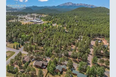 1010 W Bowman Avenue, Woodland Park, CO 80863 - Photo 45
