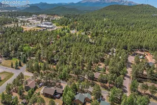 1010 W Bowman Ave, Woodland Park, CO 80863 - Photo 45