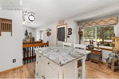 1010 W Bowman Avenue, Woodland Park, CO 80863 - Photo 19