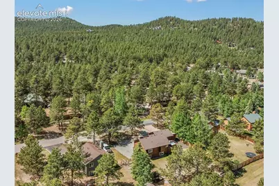 1010 W Bowman Avenue, Woodland Park, CO 80863 - Photo 3