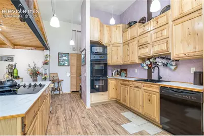 2493 County Road 782, Woodland Park, CO 80863 - Photo 9