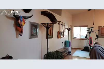 217 Skyline Drive, Woodland Park, CO 80863 - Photo 23