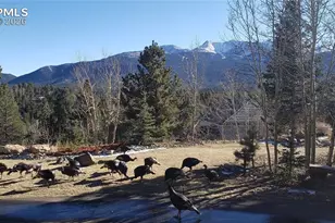 217 Skyline Dr, Woodland Park, CO 80863 - Photo 5