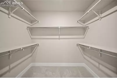 3077 Curly Grove, Colorado Springs, CO 80922 - Photo 29