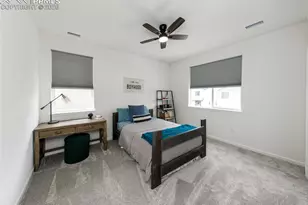 110 Kitselman Dr, Castle Rock, CO 80104 - Photo 41