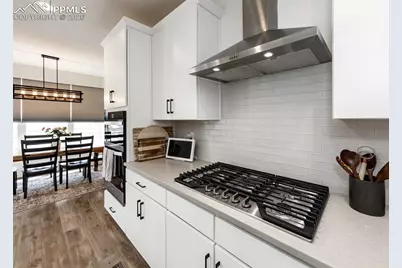 110 Kitselman Drive, Castle Rock, CO 80104 - Photo 21