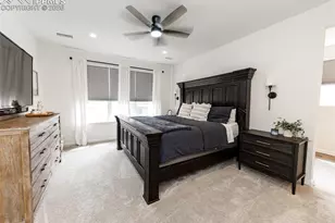 110 Kitselman Dr, Castle Rock, CO 80104 - Photo 33