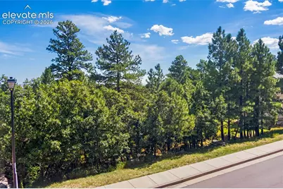 5625 Jarman Street, Colorado Springs, CO 80906 - Photo 7
