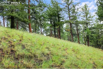 131 Lost Lake Circle, Divide, CO 80814 - Photo 7