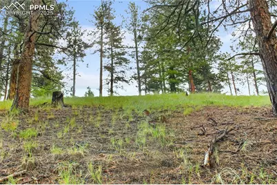 131 Lost Lake Circle, Divide, CO 80814 - Photo 9