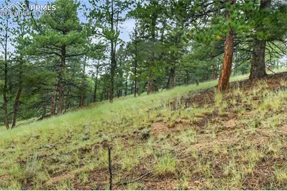 131 Lost Lake Circle, Divide, CO 80814 - Photo 11