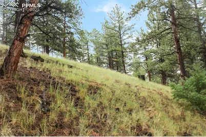 131 Lost Lake Circle, Divide, CO 80814 - Photo 15