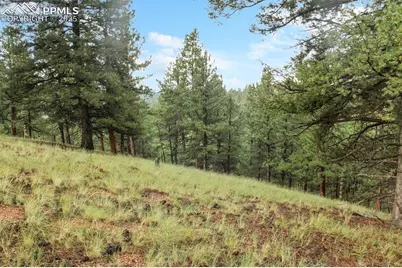 131 Lost Lake Circle, Divide, CO 80814 - Photo 13
