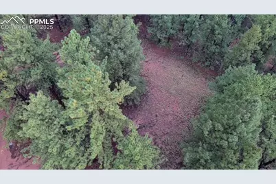 131 Lost Lake Circle, Divide, CO 80814 - Photo 19