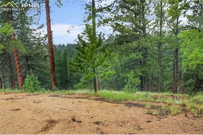 131 Lost Lake Circle, Divide, CO 80814 - Photo 5