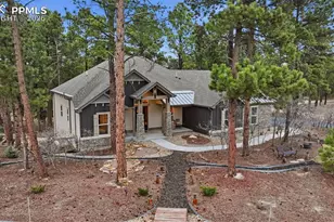 1426 Shady Glen Ln, Monument, CO 80132 - Photo 45