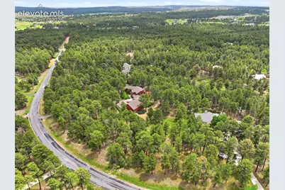 17675 Charter Pines Drive, Monument, CO 80132 - Photo 47