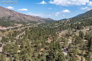 9120 Ute Rd, Cascade, CO 80809 - Photo 37