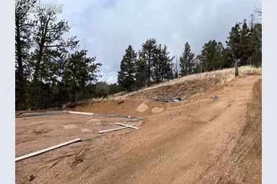 351 Dandy Jim Drive, Cripple Creek, CO 80813 - Photo 3